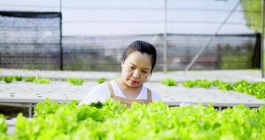 vista frontal joven agricultora asiática, propietaria de una granja hidroeléctrica comprobando la calidad de la hoja de lechuga de roble verde en su granja de cultivo de vegetales hidropónicos orgánicos