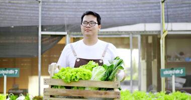 porträtt glad asiatisk bonde man bär korg med färsk grönsakssallad som går i ekologisk gård, hydroponics gård i växthus, småföretag med ekologiskt jordbrukskoncept video