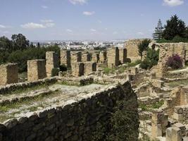 the city of tunis in tunisia photo