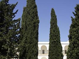 the city of tunis in tunisia photo