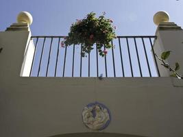 mdina city on malta photo