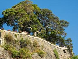 Madeira island in portugal photo