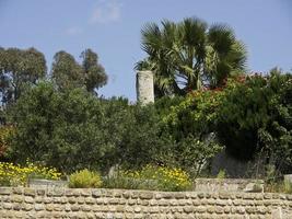 the city of tunis in tunisia photo