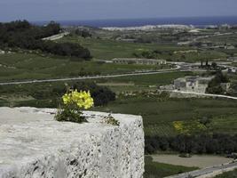 ciudad de mdina en malta foto