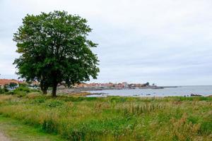 svaneke on Bornholm island photo