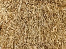 Hay texture. Hay bales are stacked in large stacks. Harvesting in agriculture photo