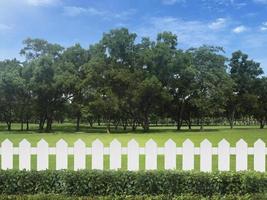 White fences on green grass and the trees behind with blue sky photo