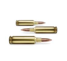 bullet on white background. 3D render photo