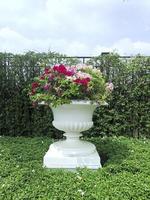 Roman flower style ornamental pot in the garden photo