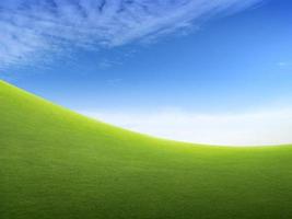campo de hierba verde verde y cielo azul brillante foto
