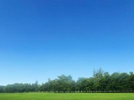 Beautiful blue sky and clouds with trees meadow plain landscape background for summer poster. The best view for the holidays photo