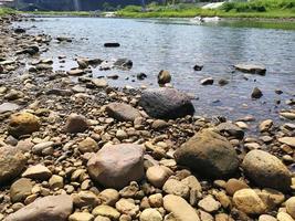 Mountain River in the wood photo