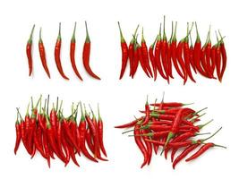 chilli isolated on white background photo