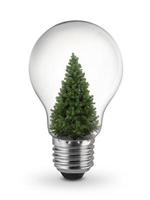 decorated Christmas tree inside of light bulb on White Background, Inspiration concept photo