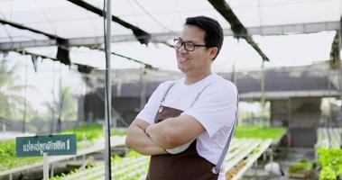 asiatisk ung man gårdsägare i glasögon bär förkläde stå med armarna i kors och skrattade glatt. den ekologiska hydroponiska grönsaksodlingsgården i bakgrunden video