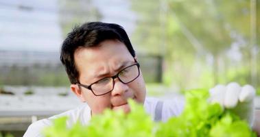 Der junge asiatische Bauer, der eine Schürze trägt, ist enttäuscht, während er die Qualität seiner grünen Eiche, Bio-Hydrokultur-Gemüsefarm im Hintergrund überprüft. organisches frisch geerntetes gemüsekonzept. video