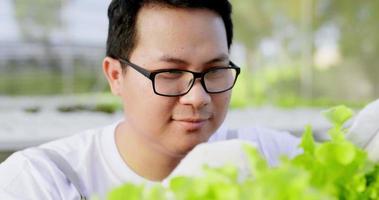 Close up shot, Young Asian farmer in glasses sitting in row of green oak lettuce, Owner Hydro farm checking qualityin her organic hydroponic vegetable cultivation farm with smile video