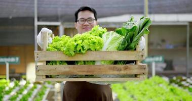 Selective focus, portrait happy Asian farmer man show basket of fresh vegetable salad in organic farm, Hydroponics in greenhouse, small business with organic agriculture concept