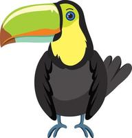 pájaro tucán en estilo de dibujos animados vector