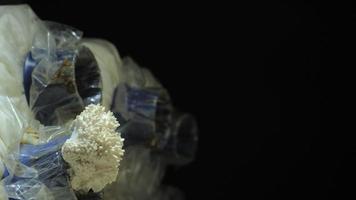 wachsende Austernpilze wachsen im Bio-Bauernhof Zeitraffer. video