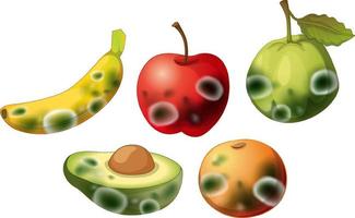 Set of inedible fruit with mould vector