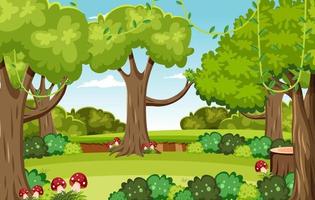 Nature forest background template vector