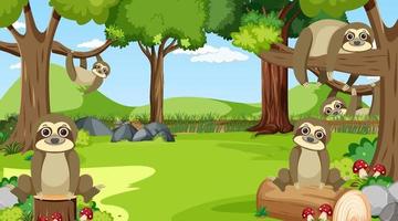 Sloths in the forest scene vector