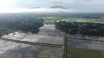 vista aerea riflesso del cielo alla risaia video