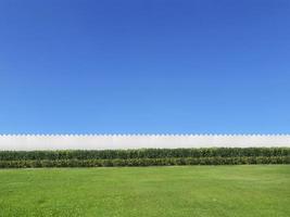 Empty backyard isolated on with blue sky with copy space photo