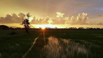 pôr do sol no arrozal com nuvem
