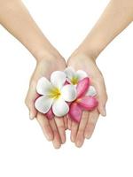 Beautiful woman hand holding a frangipani flower on a white isolated background photo