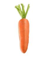 zanahoria aislada sobre un fondo blanco foto