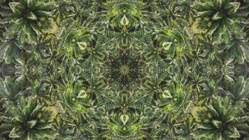 Green kaleidoscopic effect animation of green video