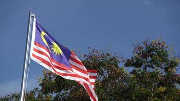 onda de la bandera de malasia en el cielo azul. video