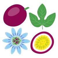 Passion Fruit Set, Exotic Flower and Leaf vector