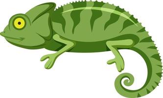 Chameleon in flat cartoon style vector