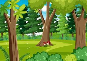 Nature forest background template vector