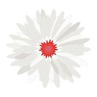 Daisy Flower head vector nature, plants, spring design. Colorful flower isolated on white, ,Flat floral design elements