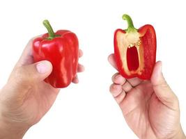 hand holding red Bell Pepper isolated on white background photo