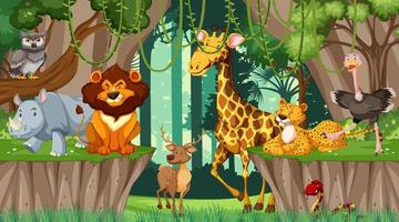 Various animals in the forest vector