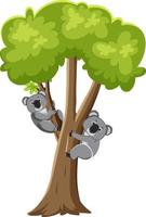koalas en el personaje de dibujos animados de árboles vector
