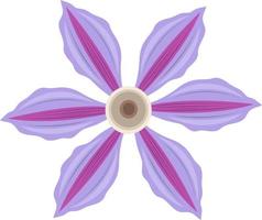 Beautiful clematis flower vector art for graphic design and decorative element