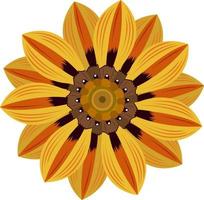 Yellow gazania flower vector art for graphic design and decorative element