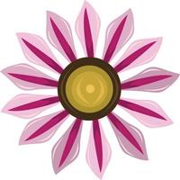 African daisy flower vector art for graphic design and decorative element