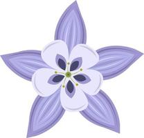 arte de vector de flor columbine de montaña rocosa para diseño gráfico y elemento decorativo