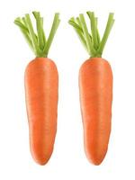 Carrot isolated on a withe background photo