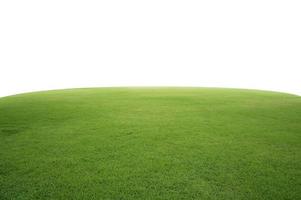Césped de hierba verde fresca aislado sobre fondo blanco. foto