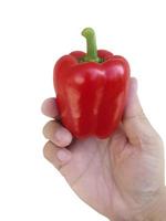 hand holding red Bell Pepper isolated on white background photo