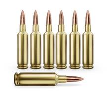 bullet on white background. 3D render photo