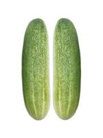 cucumber slice, isolated on a white background photo